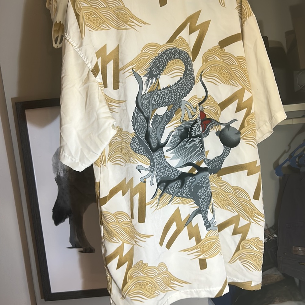 Dragon button down - Picture 3 of 3